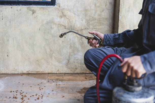 Best Best Pest Control Companies  in Lake Of The Woods, AZ